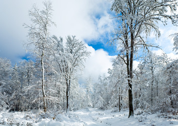 Similar image 883942