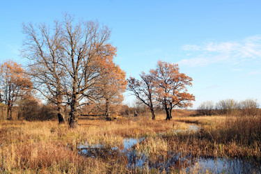 Similar image 883965