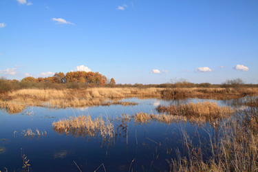 Similar image 883973