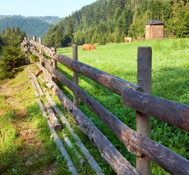 Similar image 883975