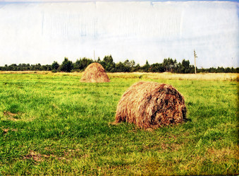 Similar image 883994