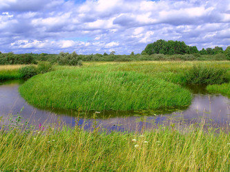 Similar image 883995