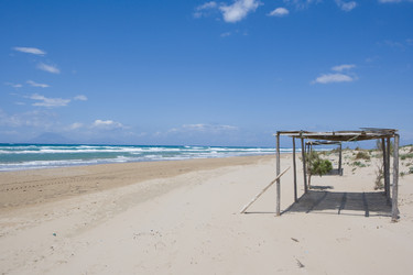 Similar image 884002