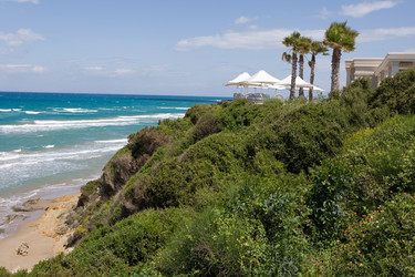 Similar image 884004