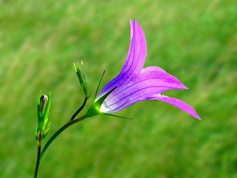 Similar image 884018