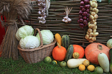 Similar image 884032