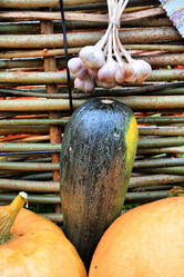 Similar image 884033