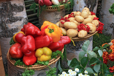 Similar image 884035