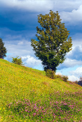 Similar image 884042