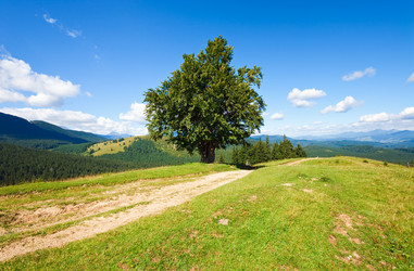 Similar image 884044