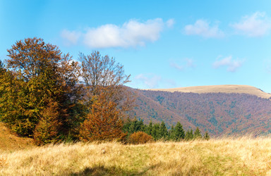 Similar image 884046