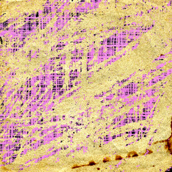 Similar image 884074