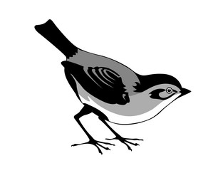 Similar image 884095