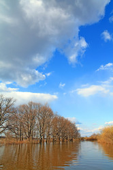 Similar image 884098