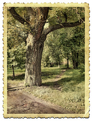 Similar image 884110