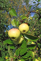 Similar image 884119