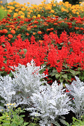 Similar image 884124