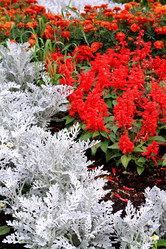 Similar image 884126