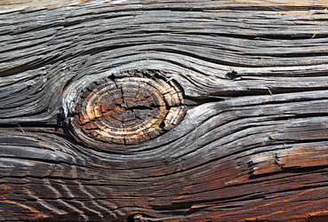 Similar image 884148