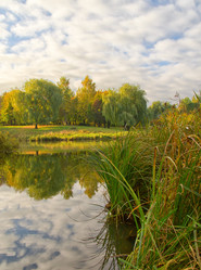 Similar image 884152