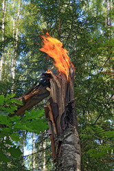 Similar image 884155