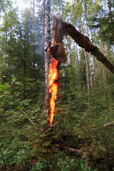 Similar image 884157