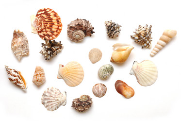 Similar image 884197