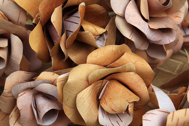 Similar image 884221