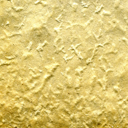 Similar image 884239