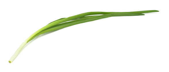 Similar image 884258