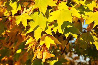 Similar image 884265