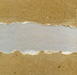 Similar image 884273