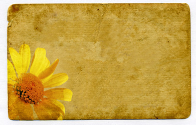 Similar image 884348