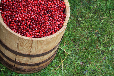 Similar image 884374