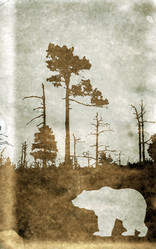 Similar image 884433