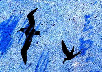 Similar image 884449