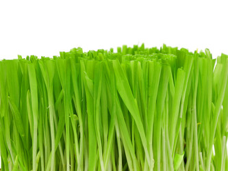 Similar image 884516