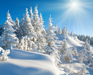 Similar image 884536