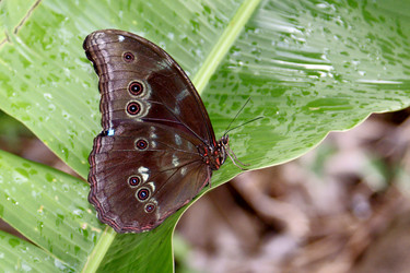 Similar image 884544