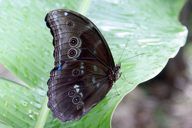 Similar image 884545