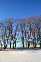 Similar image 884566