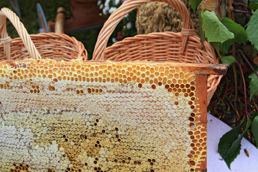 Similar image 884576