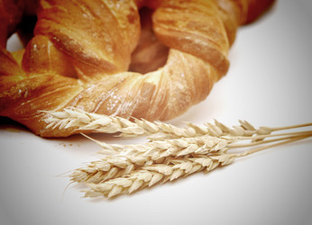 Similar image 884611