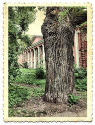 Similar image 884612