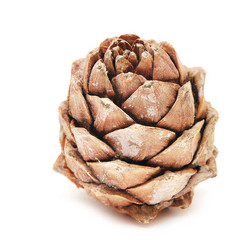 Similar image 884666