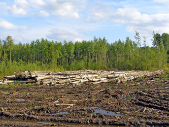 Similar image 884668