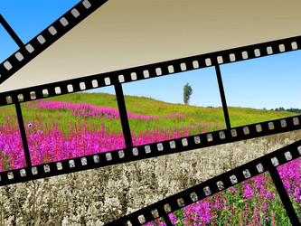 Similar image 884682