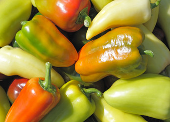 Similar image 884690