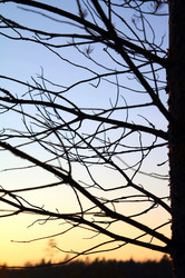 Similar image 884724