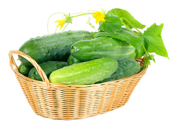 Similar image 884768